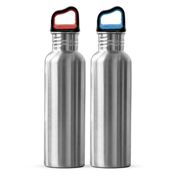 25 oz. Stainless Steel Water Bottle