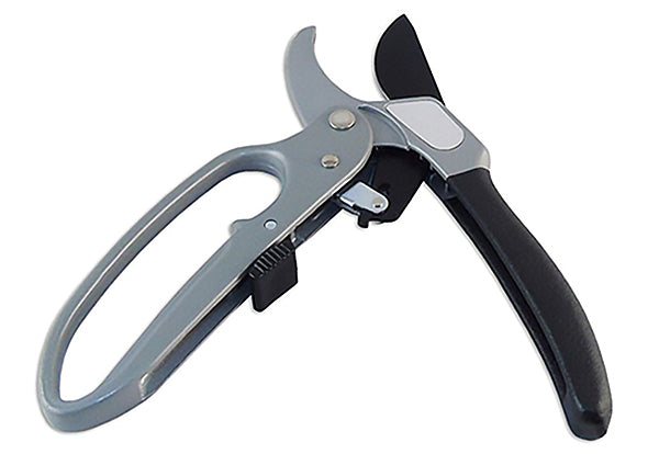 Ratcheting Pruning Shears