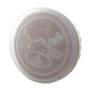 Christmas Cutout Cookie Stamp