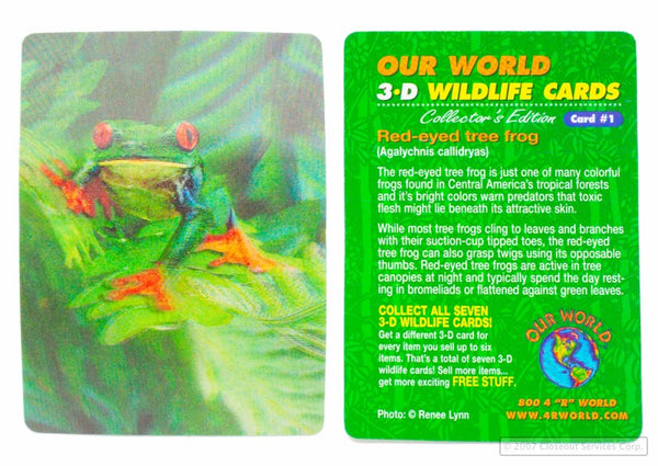Tree Frog 3d Wildlife Card. Liquidation Lot Of 140,000 Units.