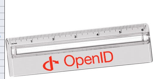 Magnifier Ruler 2 In 1