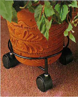 Plant Roller