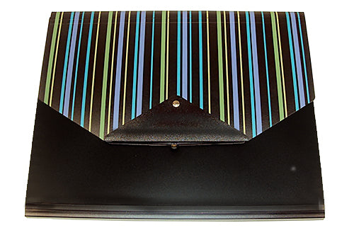 Fun Stripped Portfolio with Pad and Disc Storage