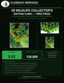 3D Wildlife Collector's Edition Card — Red-Eyed Tree Frog