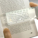 Pocket Magnifier With 6-Inch Ruler