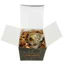 Alpha Outpost Pocket Compass