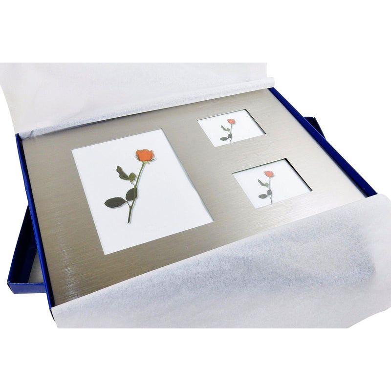 3 Panel Brushed Metal Photo Frame
