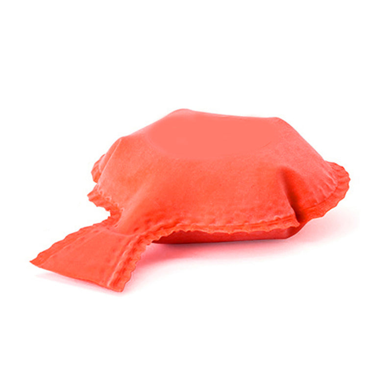 Whoopee Cushion Party Favor