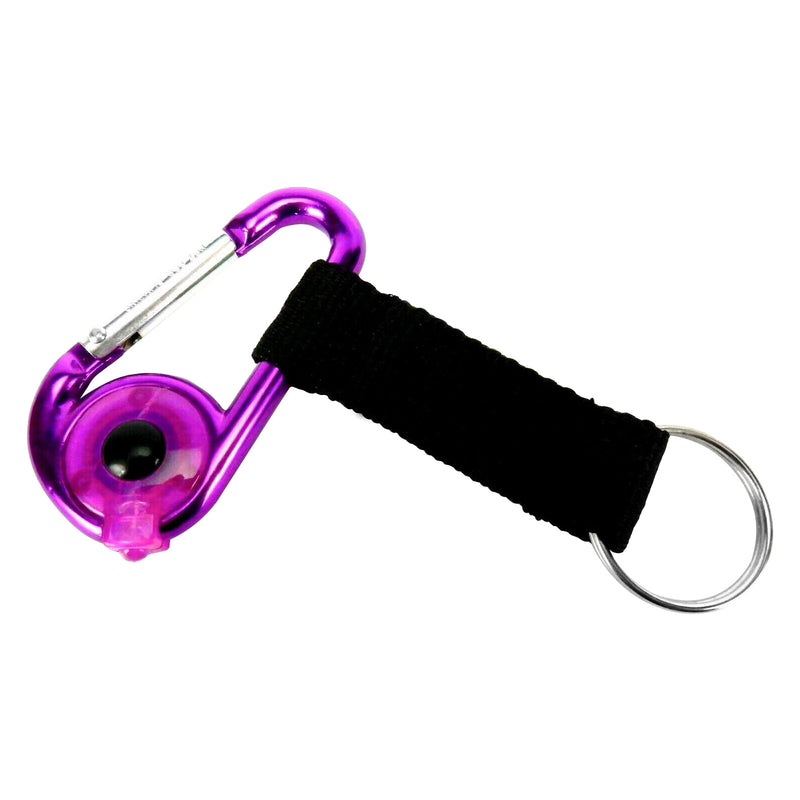 Carabiner Key Tag with LED Keychain