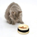 Ceramic Feeding Cat Bowl