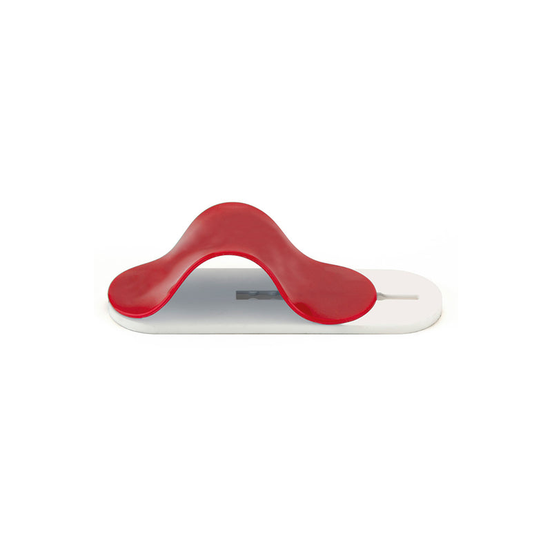 Mobile Phone Secure Holder